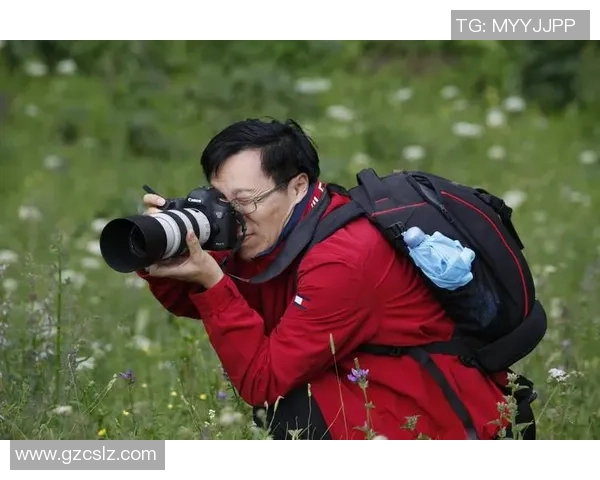 张宁的奋斗历程与人生哲学：从平凡到卓越的启示与思考